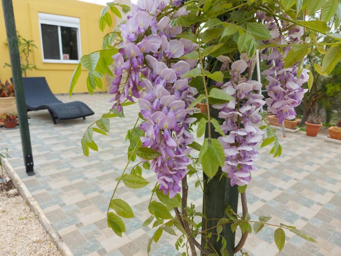Grieks Vakantiehuis To Kalokairi Kougaiika Ngoại thất bức ảnh